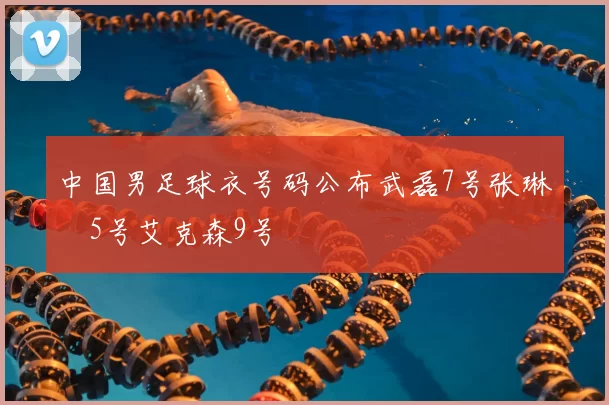 中国男足球衣号码公布武磊7号张琳芃5号艾克森9号