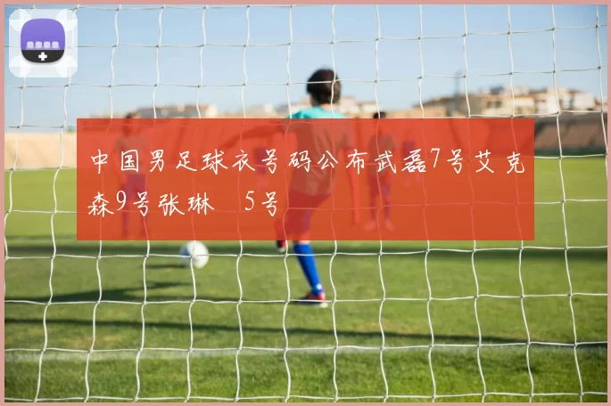 中国男足球衣号码公布武磊7号艾克森9号张琳芃5号