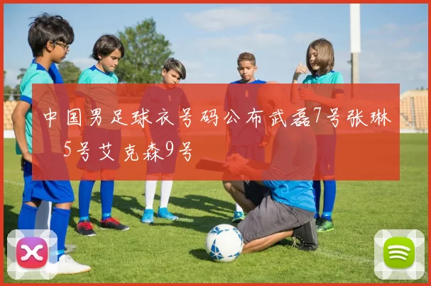 中国男足球衣号码公布武磊7号张琳芃5号艾克森9号