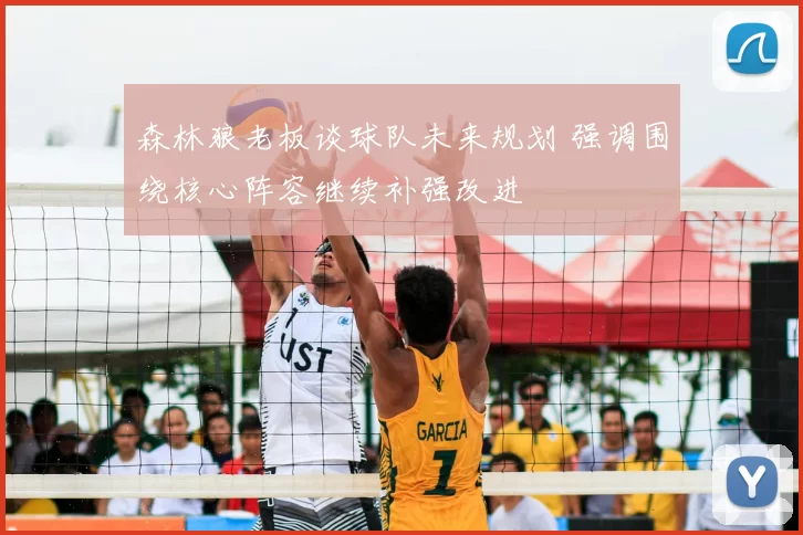 森林狼老板谈球队未来规划 强调围绕核心阵容继续补强改进