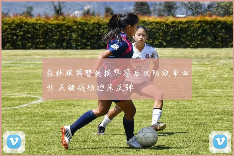 森林狼调整轮换阵容后攻防效率回升 关键战绩迎来反弹